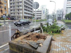 日本一地發(fā)布最高等級(jí)警戒 臺(tái)風(fēng)“薔薇”來襲