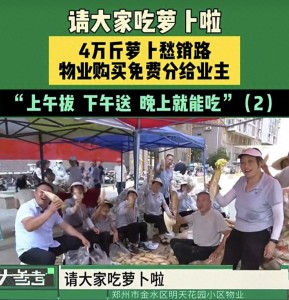 郑州一物业买4万斤滞销萝卜分业主：最高级的服务是把业主当家人