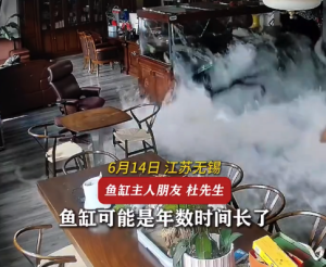 鱼缸爆裂价值30万名贵鱼变鱼头汤