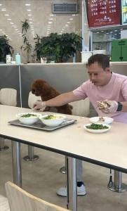 店家谈顾客让宠物狗上桌用餐 管理失职引反思