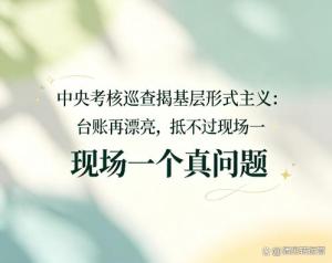 中央巡查组：再不治理迟早出大事 形式主义乱象曝光