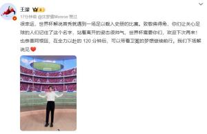 王濛世界杯解说首秀后发文 致敬佛得角站着离开