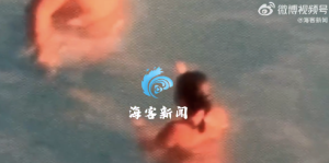 美国游客发现民宿墙上贴有家人10年前照片