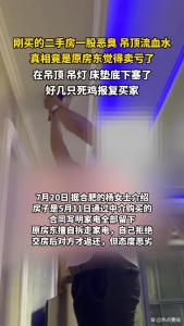 二手房原房东屋内藏死鸡报复买家 诡异报复手段曝光