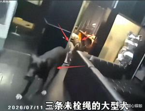 外卖员被3烈犬吓尖叫主人说不咬人 冷漠回应引众怒