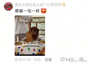 蛋糕师笑了半天才决定把蛋糕送走 丑萌小狗成网红