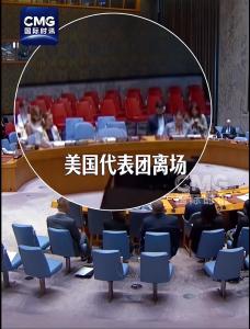 美法在联合国安理会上“撕破脸” 因人权高专连任争执