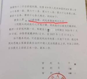 湖北恩施女子婚后遭长期家暴，该案一审宣判 6个月刑期引发讨论
