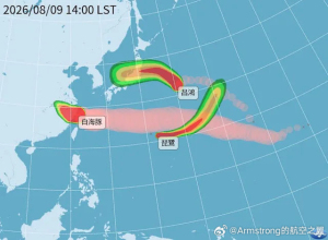 台风琵鹭来了 新命名的候鸟之风
