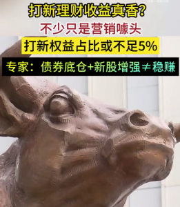 部分理财产品的打新是噱头 专家提醒打新理财不一定稳赚