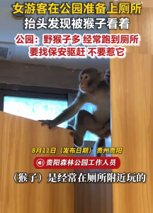 公园上厕所抬头发现被猴子看着 公园回应：不能打它吓唬它，会抓人