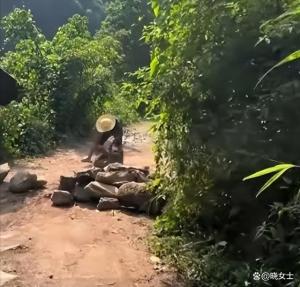 警方回应峨眉山游客停车遭村民堵路 景区乱象待解