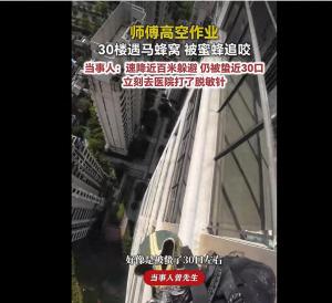 男子高空作业遇马蜂窝被蛰近30口 速降百米求生