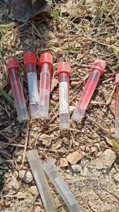 福利院外发现多支病毒采样管 来源成谜待查