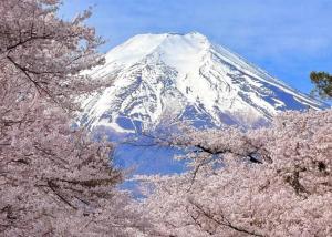 9月中国大陆赴日本1052个航班取消 日本游热度骤降