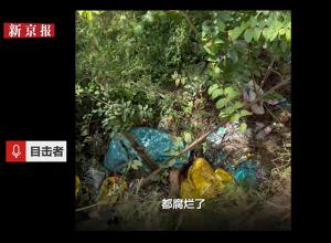 云南一沟渠发现死猪死牛尸体 引发关注