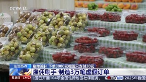 网购3000元榴莲实付20多元 诈骗团伙利用优惠券套现
