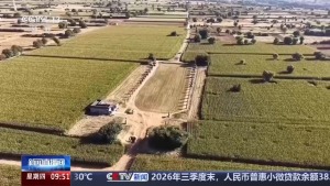“大耳将军”出圈 宋陵石像生引关注