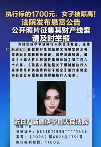 女子欠1700元被限高公开照片 金额无门槛