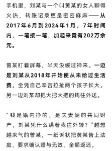 婚内转异性202万，对方辩称是抚养费 法院如何判决