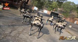 中国新一代机器狼群首次公开