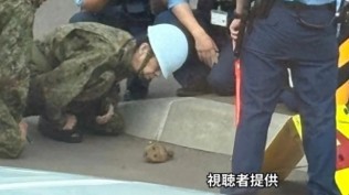日本一小学附近发现“手榴弹”