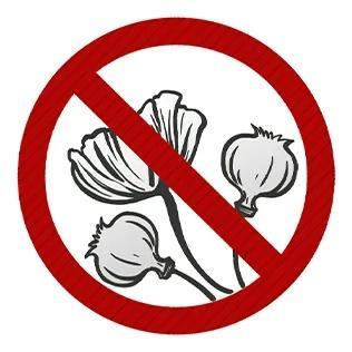 警方查处两起非法种植罂粟案 以观赏等为借口触法网