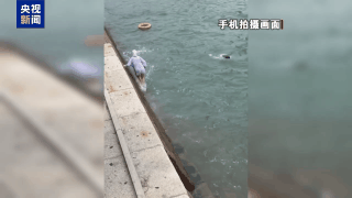 58岁阿姨智救落水者！栈桥边借救生圈化险为夷