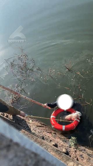 女子為救愛犬跳入湖中 市民與巡檢員合力救援