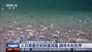 2025中国科技创新再攀高峰 硬核突破引领未来