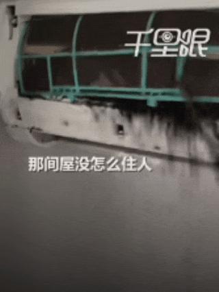 男子洗空调发现内部十几只蝙蝠