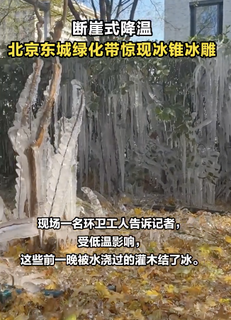 北京东城绿化带惊现冰锥冰雕!