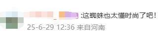 女子在车上发现“人脸蜘蛛”