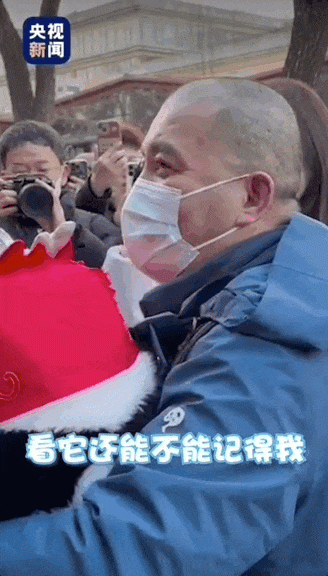 顶流熊猫兄妹北京动物园“碰面”啦 祝萌兰和花花健康成长