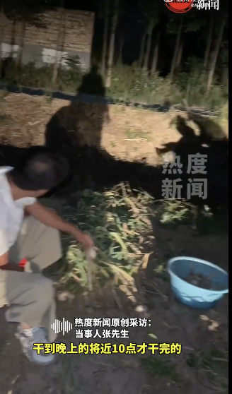 妻子離世后男子堅持照顧岳母 人間難事顯真情