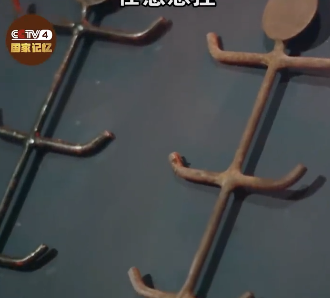 731单元将人体内脏悬挂在架子上，并且标本瓶中