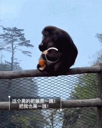 峨眉山景区通报男子猛推猴子 行为不当引热议