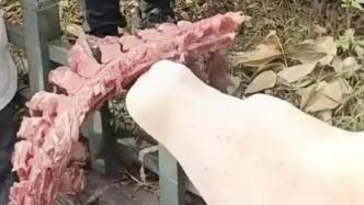 當地回應發(fā)臭排骨供貨商仍進出學校