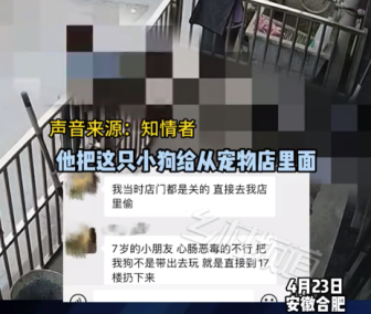 7岁男孩从宠物店偷狗带到17楼扔下 知情者：警察说只能起诉或者协商