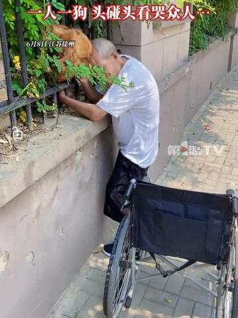 老人摔斷腿后找鄰居家狗狗玩 溫馨一幕感動(dòng)眾人