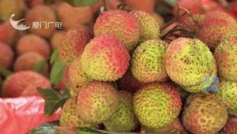 6歲女童空腹吃荔枝觸發(fā)“荔枝病” 適量食用很重要