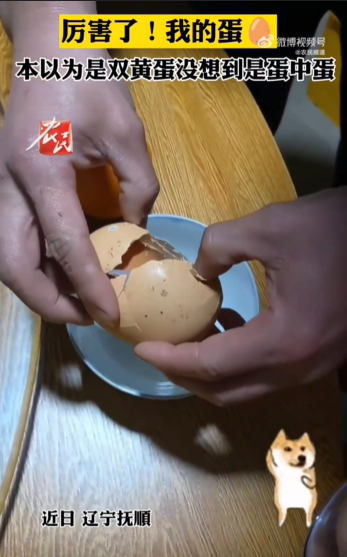 女子家中大巨蛋磕开竟是蛋中蛋