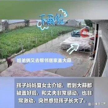 被小孩姐小孩弟雨中的身影暖到了 稚嫩肩膀扛起责任