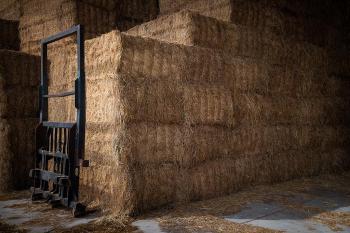 媒体焦点：中东乱局升级 全球粮食安全风险加剧