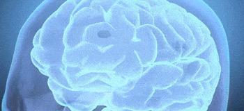 研究发现：成绩81%靠天注定，别怪孩子不用功，可能是大脑硬件拖后腿