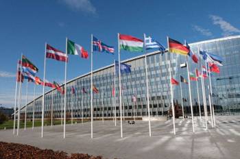 特朗普称美国会跟法国记仇 北约支持缺失引发不满