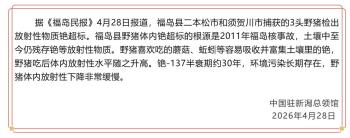日本福岛县野猪，检出放射性铯超标！核事故反应堆内部至今仍有“极高”核辐射 土壤污染长期存在