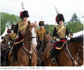英军士兵在马术展表演现场坠马身亡 王室震惊与悲痛