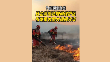 日企高管擅闯蒙古保护区引发大火 草原火灾逼近中国边境
