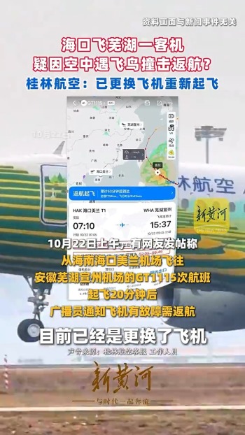 海口飞芜湖一客机空中遇飞鸟撞击 因故障安全返航
